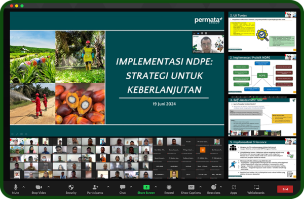 Permata Group’s Virtual Workshop on NDPE Principles and EUDR - Permata ...